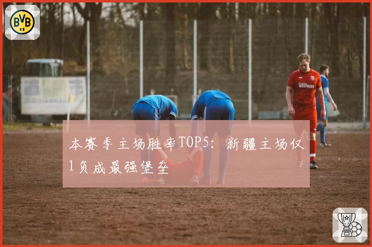 本赛季主场胜率TOP5:新疆主场仅1负成最强堡垒